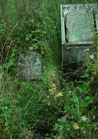 DSCF3515.jpg