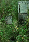 DSCF3515.jpg