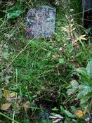 DSCF3516.jpg