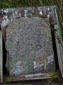 DSCF3517.jpg