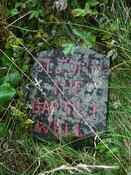 DSCF3518.jpg
