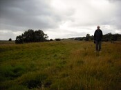 DSCF3538.jpg