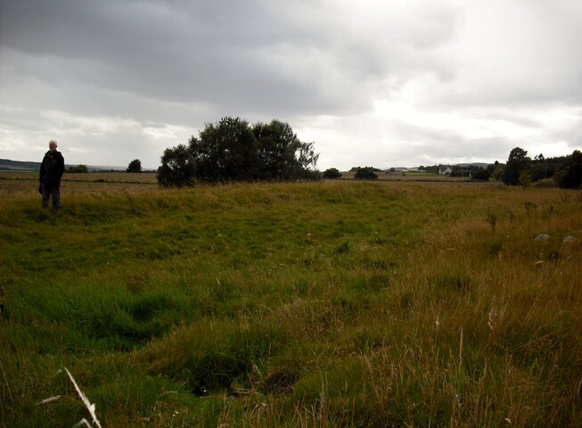 DSCF3539.jpg