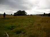 DSCF3539.jpg