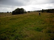DSCF3540.jpg