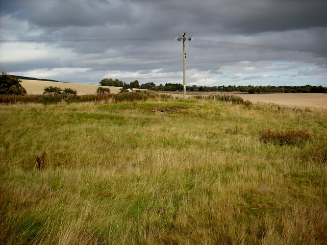 DSCF3541.jpg