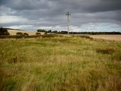 DSCF3541.jpg