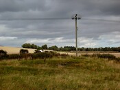DSCF3543.jpg