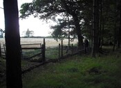 DSCF3544.jpg