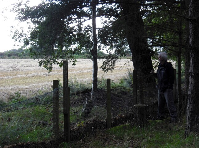 DSCF3545.jpg