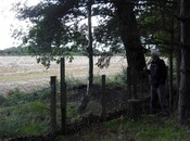 DSCF3545.jpg