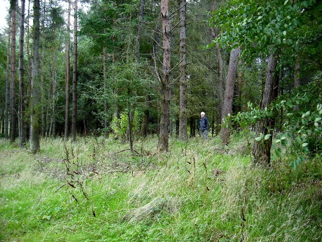 DSCF3546.jpg