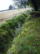 DSCF3547.jpg