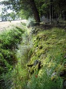 DSCF3548.jpg