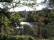 DSCF2665.jpg