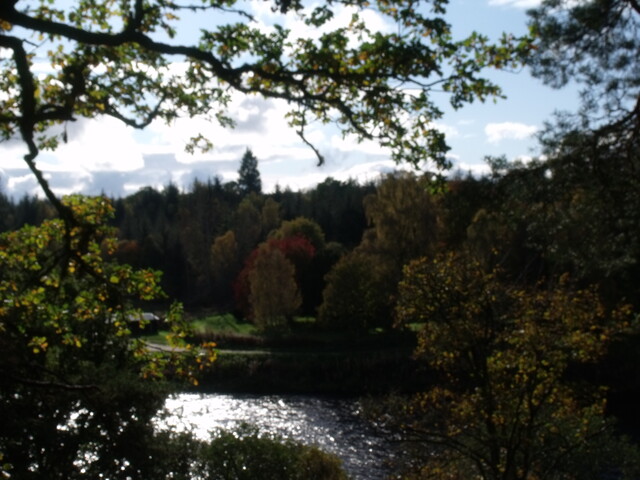 DSCF2666.jpg
