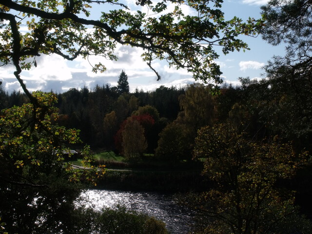 DSCF2667.jpg