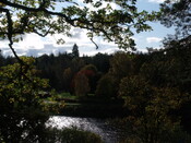 DSCF2667.jpg
