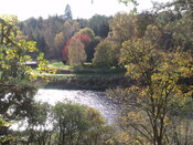 DSCF2668.jpg