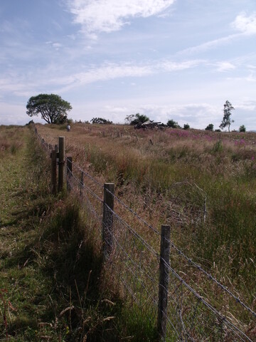 DSCF2632.jpg