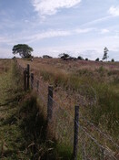 DSCF2632.jpg