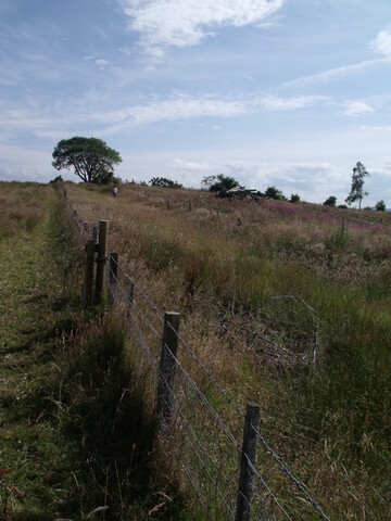 DSCF2633.jpg