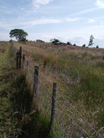 DSCF2634.jpg