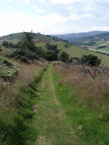 DSCF2637.jpg