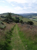 DSCF2638.jpg