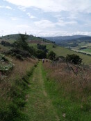 DSCF2639.jpg