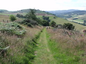 DSCF2640.jpg