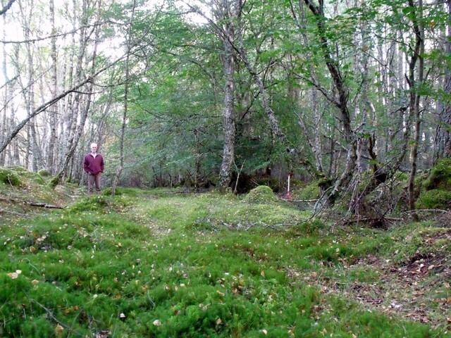 DSCF2662.jpg