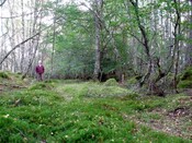 DSCF2662.jpg