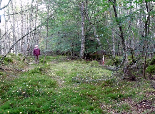 DSCF2663.jpg