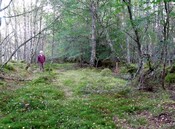 DSCF2663.jpg