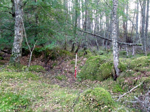 DSCF2664.jpg