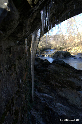 MHG17252_15.jpg