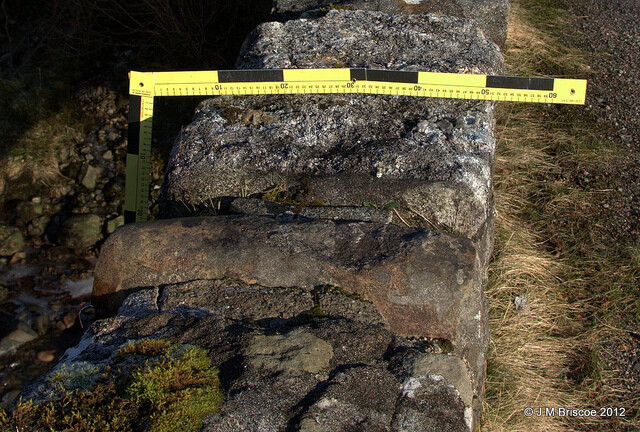 MHG17252_17.jpg