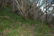 XDO Post, South Sutors_6898366885_m.jpg