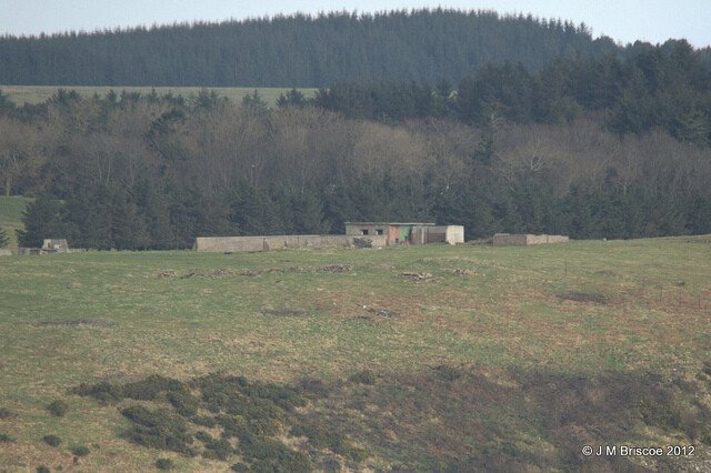 MHG46670_1.jpg