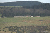 MHG46670_1.jpg