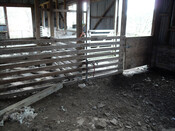 12.ACHNASAUL SHEARING SHED - INTERIOR STRUCTURE 2.jpg