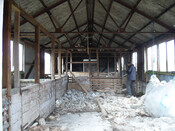 14.ACHNASAUL SHEARING SHED - INTERIOR STRUCTURE 4.jpg
