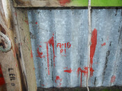 4.ACHNASAUL SHEARING SHED - INTERIOR GRAFFITI 3.jpg