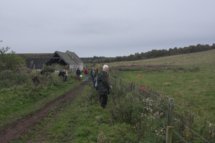 Line of lade b.JPG