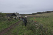 Line of lade b.JPG