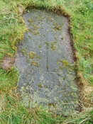 MHG31401 b.jpg