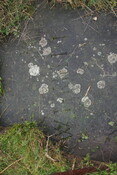 MHG31401 d.JPG