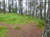 PFPT11-OH-Pic73.JPG