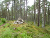 PFPT11-OH-Pic79.JPG